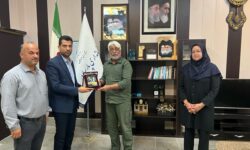 تقویت همکاری‌های جهادی و اجرایی برای توسعه پایدار شهرستان پارسیان