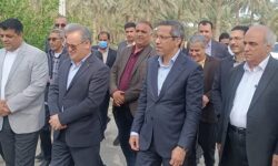 معاون وزیر جهادکشاورزی از ایستگاه تحقیقات کشاورزی میناب بازدید کرد