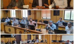 بررسی مشکلات آب شهرستان های بندرعباس و خمیر در نشست مشترک آبفا و نماینده مجلس